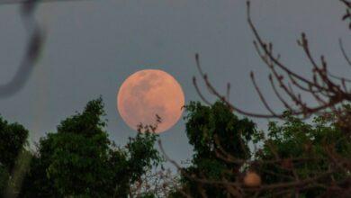 Photo of Junio recibe su luna llena: Luna de Fresa