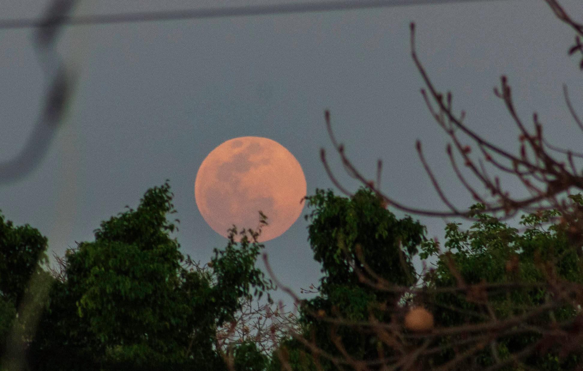 Junio recibe su luna llena Luna de Fresa Con Acento