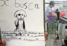 Photo of Abuelita encuentra a su perrito gracias a dibujo de su nieta 