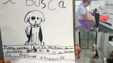 Photo of Abuelita encuentra a su perrito gracias a dibujo de su nieta 