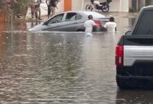 Photo of Autos flotando en el agua en Mérida