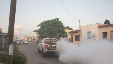 Photo of Continúan las tareas de fumigación en Yucatán