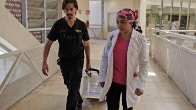 Photo of Recibe UMAE Mérida dos riñones para trasplante