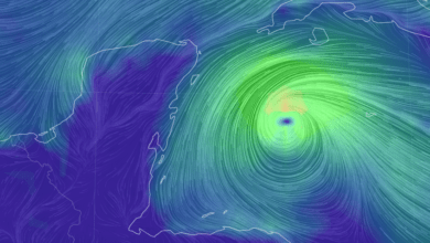 Photo of Sigue en tiempo real a “Beryl”