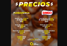 Photo of ¿Pan Bimbo o panaderías locales? Compara precios