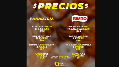 Photo of ¿Pan Bimbo o panaderías locales? Compara precios
