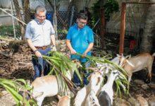 Photo of Alejandro Ruz visita la granja “Le Siibalo” en Tahdzibichén