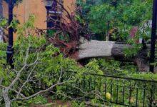 Photo of Afectaciones en Valladolid tras el paso de Beryl