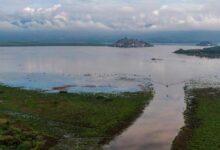 Photo of Lago de Pátzcuaro se recupera tras sequía