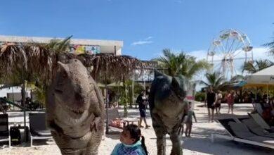 Photo of Dinosaurios se pasean en Progreso