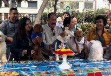 Photo of Festeja el cumpleaños de su perrito con temática de Paw Patrol