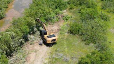 Photo of Denuncian daños a dunas costeras en Dzilam de Bravo