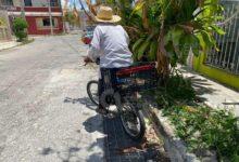 Photo of Desyerbar, oficio bajo el intenso sol de Yucatán