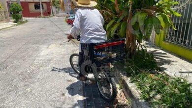 Photo of Desyerbar, oficio bajo el intenso sol de Yucatán