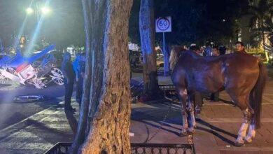 Photo of Auto choca a calesa con caballo en Paseo de Montejo