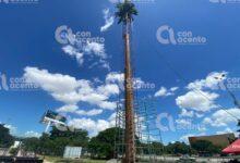 Photo of Inicia instalación de tradicional mega arbolito navideño en Mérida