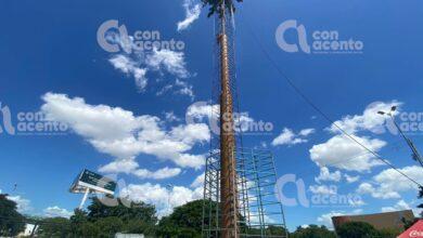 Photo of Inicia instalación de tradicional mega arbolito navideño en Mérida