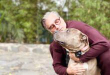 Photo of Alejando Fernández se despide de “Kif”, su perrito