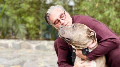 Photo of Alejando Fernández se despide de “Kif”, su perrito