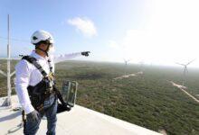 Photo of En Yucatán se trabaja a favor del medio ambiente