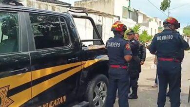 Photo of Perros muerden a vecinos de Chuburná