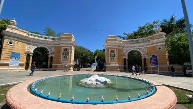 Photo of Zoológico del Centenario cumple 114 años