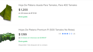 Photo of Más de mil pesos la hoja de plátano para pib y tamales