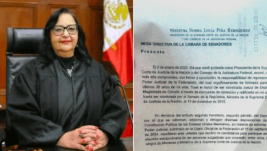 Photo of Norma Piña renuncia como presidenta de la SCJN