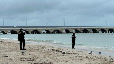 Photo of Evacuan Progreso ante llegada de Milton