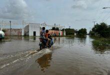 Photo of Celestún continúa bajo el agua tras “Milton”