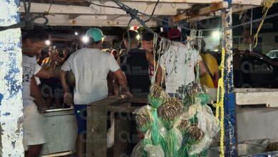 Photo of ¡Ya están en casa! Pescadores del “Neldy” llegan a tierra