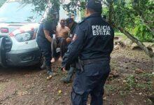 Photo of Encuentran a abuelito perdido en el monte en Peto