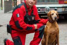 Photo of Titán, héroe canino cruza el arcoíris de los perritos