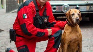 Photo of Titán, héroe canino cruza el arcoíris de los perritos