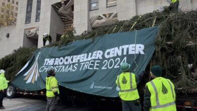 Photo of ¡El árbol de Navidad del Rockefeller Center ya llegó a Nueva York!