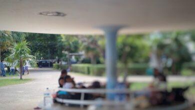 Photo of Migrantes viven en un parque de Mérida