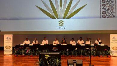 Photo of CICY inicia festejos por 45 aniversario