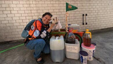 Photo of “Salmy”, perrito rescatado que ahora es científico