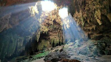 Photo of Grutas de Loltún reabrirían en marzo de 2025