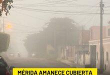 Photo of ¡Conduce con cuidado por la neblina!