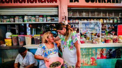 Photo of Habrá créditos para jóvenes, mujeres, comerciantes y empresarios