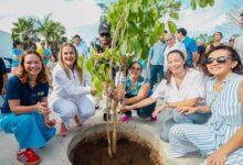 Photo of «Diseña tu ciudad“, el futuro de Mérida: Ceci Patrón