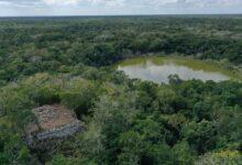 Photo of X’baatún, en Tekal de Venegas, el tesoro maya oculto en la selva