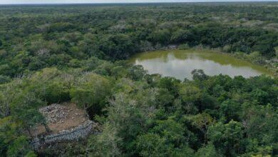 Photo of X’baatún, en Tekal de Venegas, el tesoro maya oculto en la selva