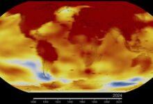 Photo of En el 2024, la Tierra bate nuevo récord de temperaturas cálidas