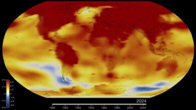 Photo of En el 2024, la Tierra bate nuevo récord de temperaturas cálidas