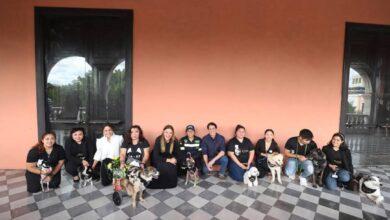 Photo of Presentan a las reinas y reyes Caninos del Carnaval de Mérida