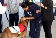 Photo of Utilizan Canoterapia en escuelas públicas de Yucatán