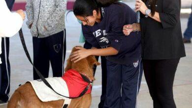 Photo of Utilizan Canoterapia en escuelas públicas de Yucatán