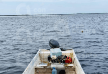 Photo of Yucatán ya tiene con cuatro santuarios pesqueros